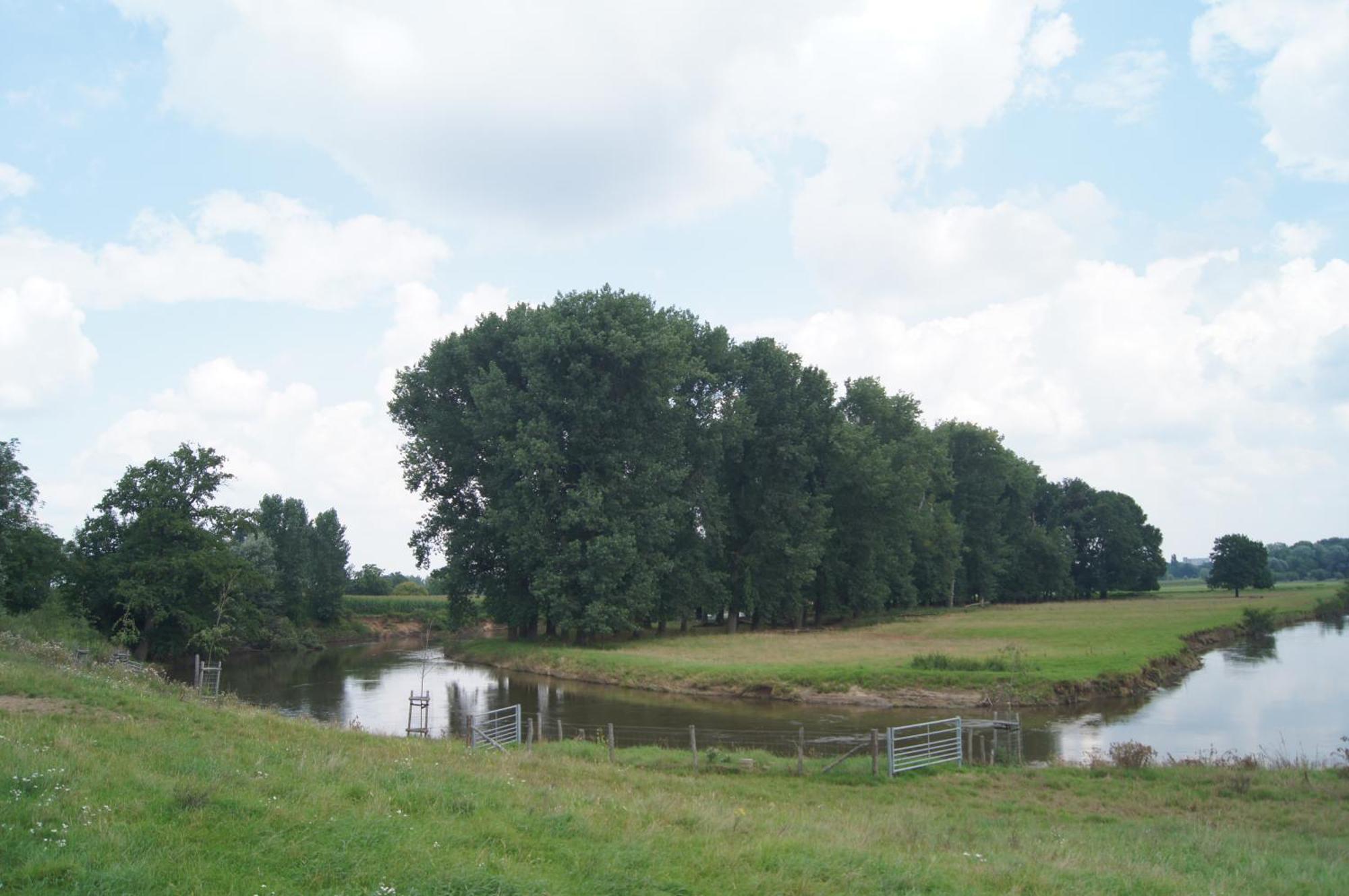 Hoeve Linnerveld Merum エクステリア 写真
