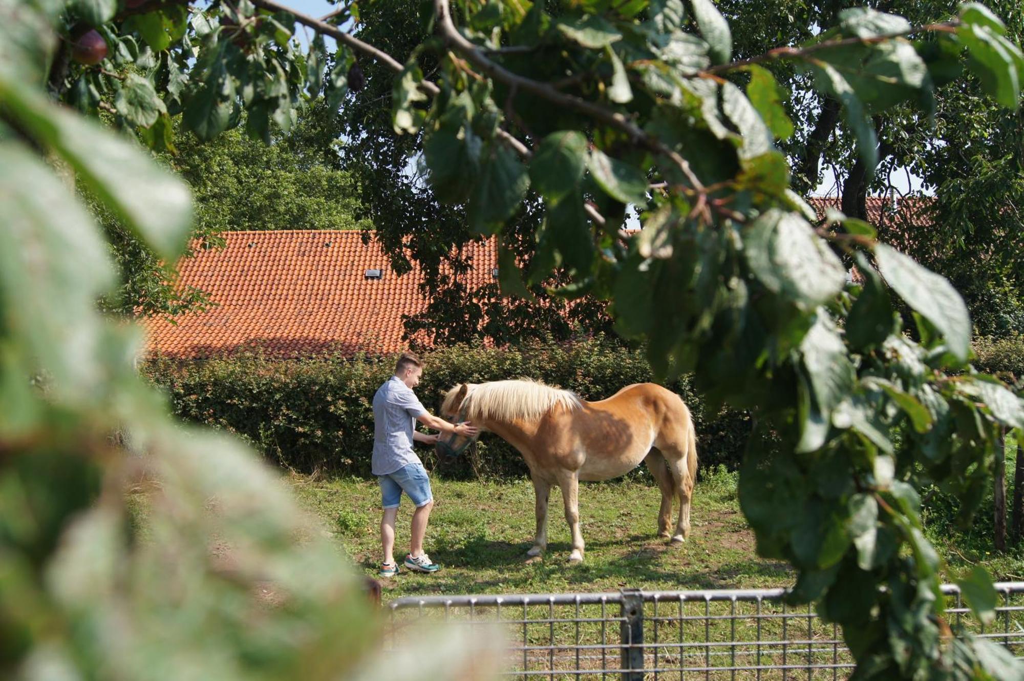Hoeve Linnerveld Merum エクステリア 写真